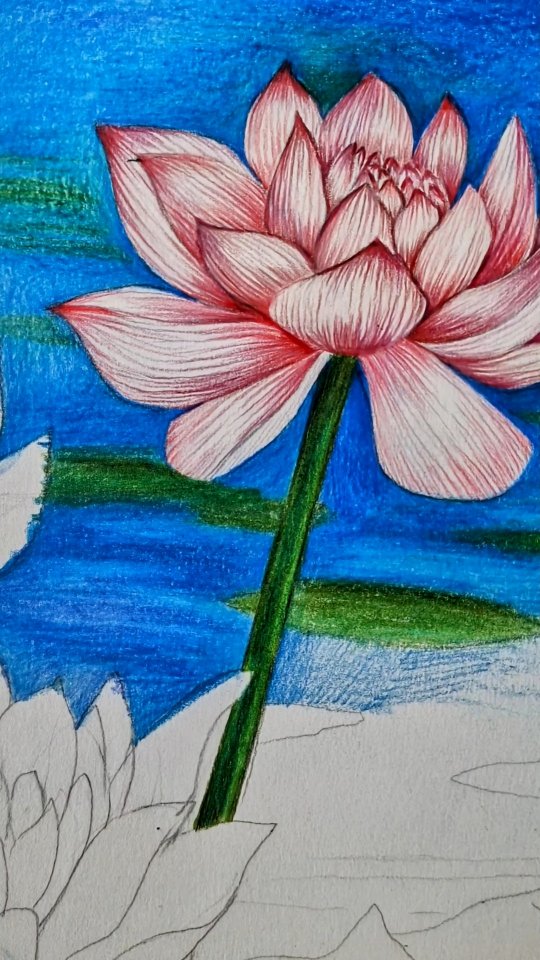 Art has a way of grounding us—whether it's a pencil, brush, or clay in hand, the act of creating quiets the chaos and reminds us why we fell in love with it in the first place. ❤️
#artinprogress #fabercastellpolychromos #colouredpencil #artjourney #lilyart #flowerart #artprocess #artlovers