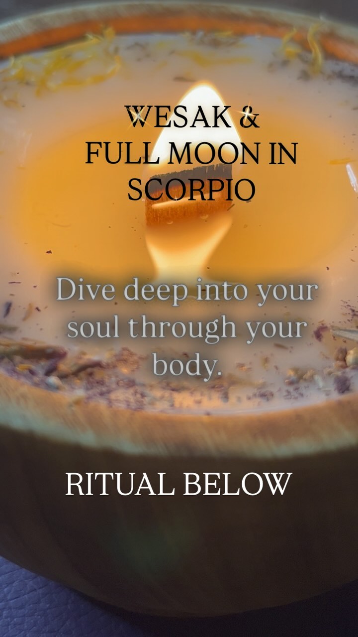 Yesterday,Wesak radiates with immense strength, especially for those who are most sensitive. It calls for a profound journey within, allowing us to confront and release the deep wounds that may resurface through our feelings, emotions, thoughts, and the spontaneous or unexpected situations that stir up tensions and sentiments.
This full moon invites us to dive into our profound depths while illuminating the brilliance of our existence.
All these emotions can frequently flow through the body, and without the need for words, they can untangle knots, ease tensions, and alleviate pressures that reveal our ailments—ailments that hinder our soul from expressing itself in its entirety.
Here lies a powerful practice to guide you:
🪔Ignite a candle.
🧘🏽♀️ Put you in a meditative posture.
Then take a deep breath, center your thoughts on the rhythm of your breath.
🌹Allow your body to communicate with you.
When the weight of pain is sensed, invite it to transform into light.
🤍You have the power to express:
“I request that the mounds of dark powder be transformed into radiant light, that the obstacles erected along my journey be converted into stardust, paving the way for a golden path. I grant myself the freedom to release the chains of the past, fully embracing the strength of my heart of light.”
The essential oil blend that came to me during its lunar energies is the synergy Forgive. (Or Rosemary)
After allowing the contractions to flow, I embraced the opening of the heart, nurturing its expansion with the essence of geranium essential oil.
Forgiveness is a powerful release for both ourselves and others, enabling us to embrace the beauty of giving and receiving with genuine humility.
🙏Express gratitude to all the beings and energies that took part in this sacred ritual.
🪔Snuff out the candle.
Share your emotions in the comments about your experience during this full moon/Wesak.
Sophie.