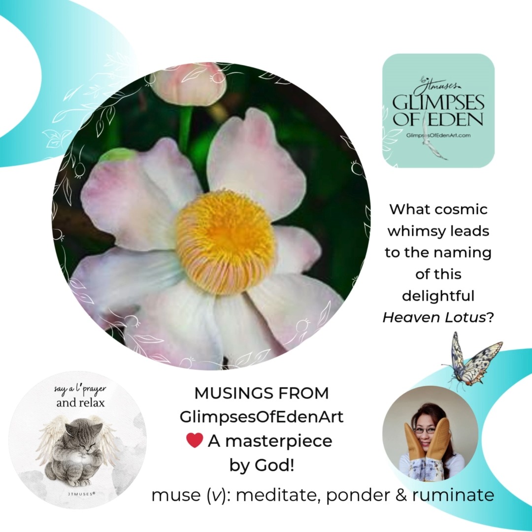 A FLOWER IS A SMILE FROM GOD.😍
The Majestic Heaven Lotus:
A Lotus flower blossoming on a tree! Known for its beauty, it is native to Brazil and the surrounding South American region. Its botanical name is *Gustavia augusta*, or simply Gustavia, which represents its genus.
Follow Glimpses of Eden art by JTMUSES®, a brand dedicated to celebrating craftsmanship, inclusivity, and the vibrant heritage of Singapore through art-inspired merchandise.
#glimpsesofedenart
#jtmuses
#nature_lovers
#singaporegiftideas
#heavenlotus