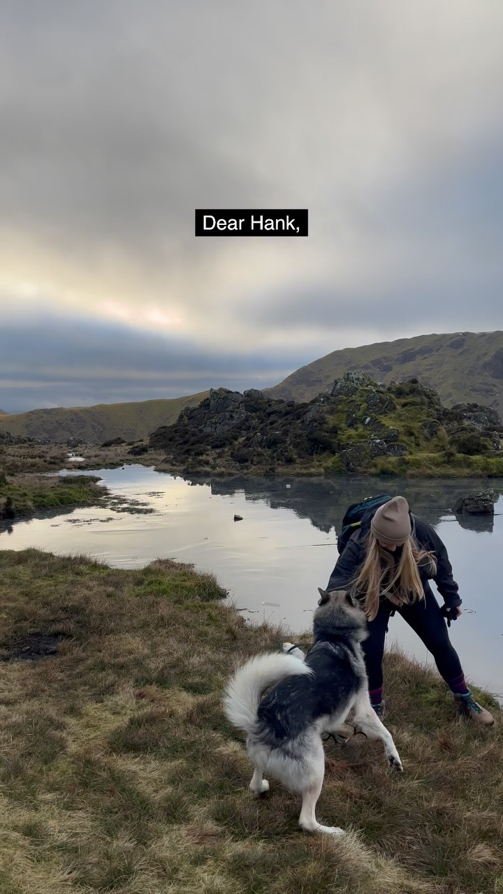 This is my ode to you, Hank and your happy Hank bum 🤍
Here is to Hank-dunking every month, for as long as I can, for you, and you only.
Here is to filling that day with memories of your silliness and unapologetic way of living.
Here is to hugging our fur babies extra tight while we can.
Here is to never taking that for granted.
Here is learning, loving and laughing with them as true members of our family, always.
Here is to surrounding yourself with others that are compassionate to the raw and insurmountable grief losing a pet brings.
Here is to never forgetting you, my baby.
I will forever be grateful for the four years we had together, even though it will never have been enough.
#petloss #girlsbestfriend #overlandlife #offroading #vanlife