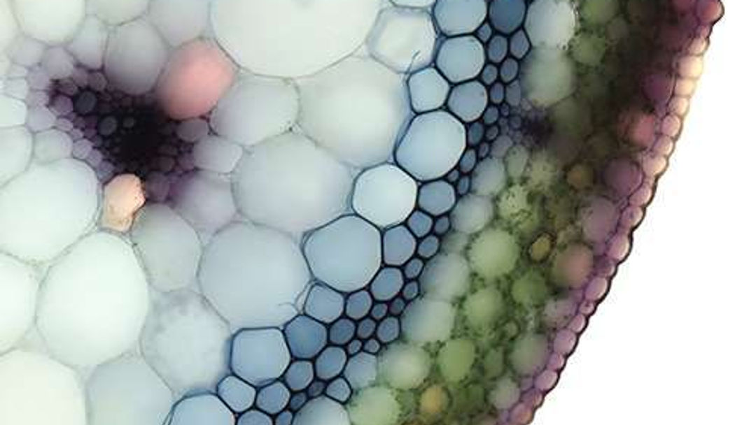 Nature’s Splendor...and its Power to RESTORE
Immerse yourself in the restorative power of nature. Discover how the great outdoors can heal your mind and soul.
Research has shown that exposure to nature, specifically fractal patterns, can reduce a person's stress level by up to 60%.
🌿✨ Link in Bio
#NatureTherapy #WellnessJourney #NatureHealing #MentalWellness #Restoration #WellnessDesign