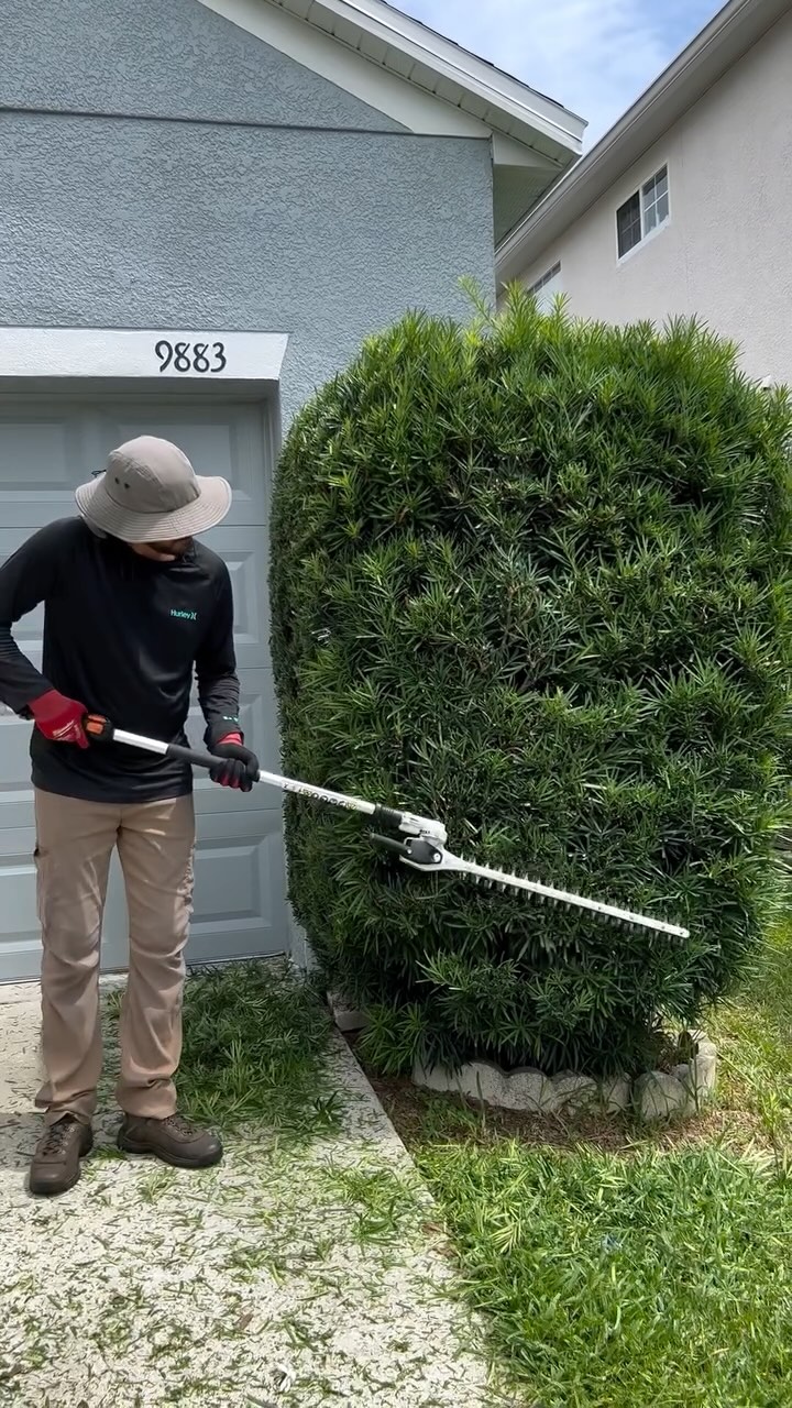 🧑🏻🌾
#lawncare#lawncareservice#lawncareservice#lawncarelife#lawnmaintenance#trimming#orlandofl#irlandoflorida