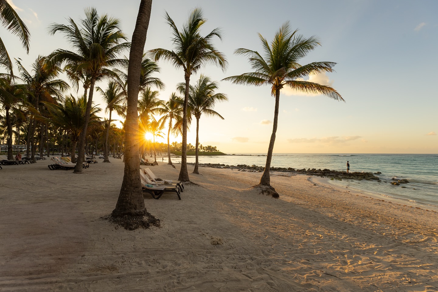 Early mornings at the @barcelomayagrandresort - the perfect way to start the day.
-
-
-
-
#mexico #cancunmexico #vacation #exploremexico #mexicotourism