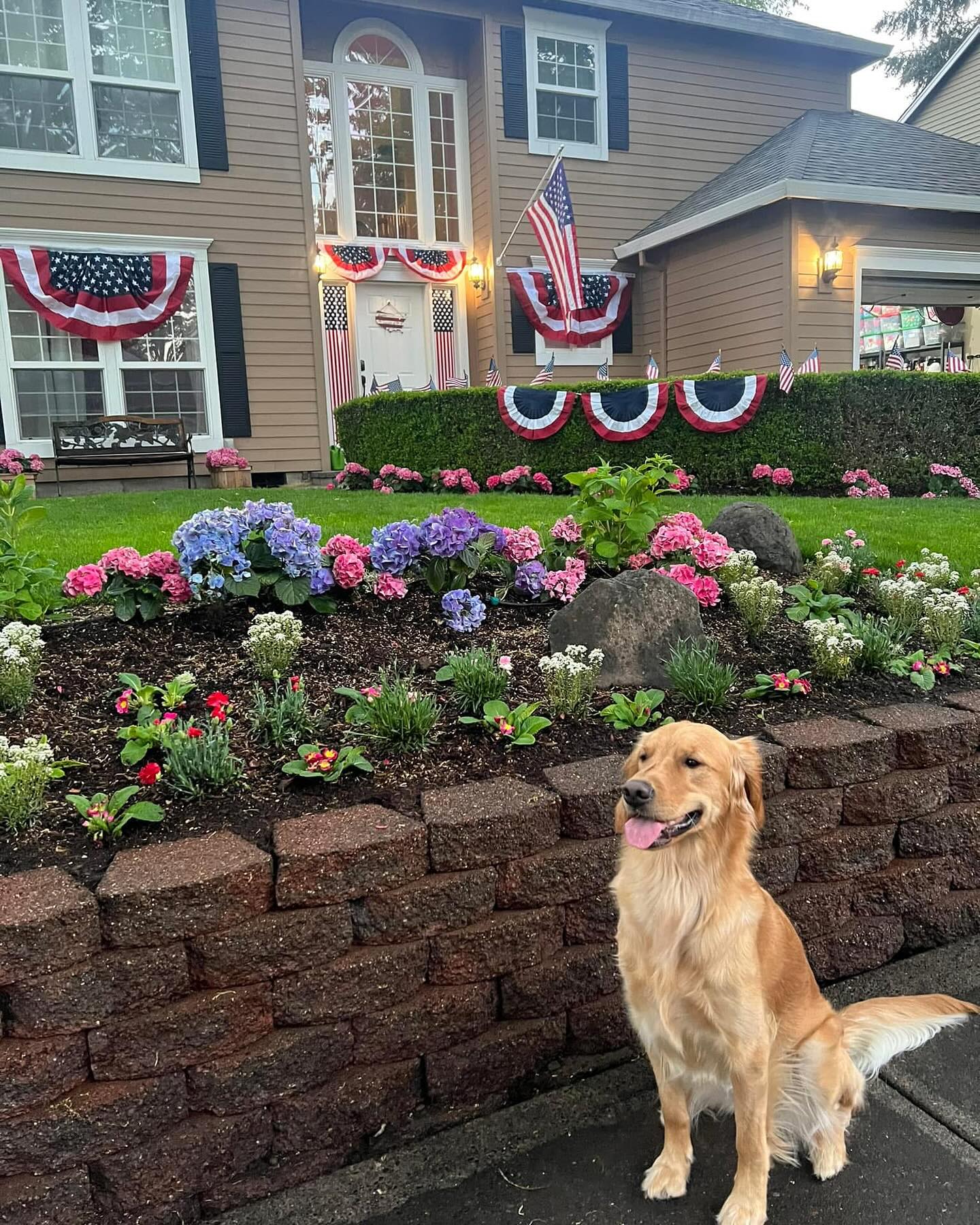 Memorial Day 2023 🇺🇸 Bama reporting for yard beautification duty!