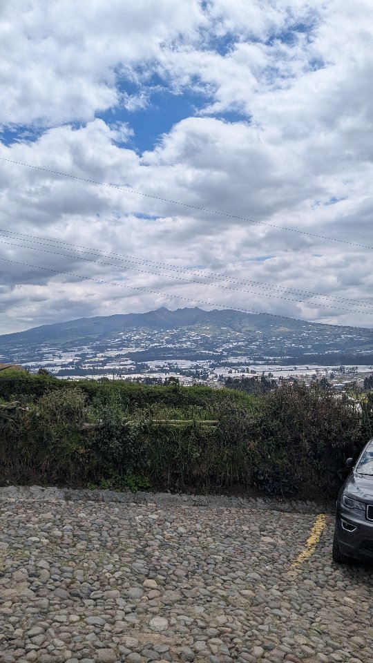 Look where are growing the best flowers in the world! #ecuadorysusflores #floriculturaecuatoriana #theflowersofecuador #ecuador #thebestroses