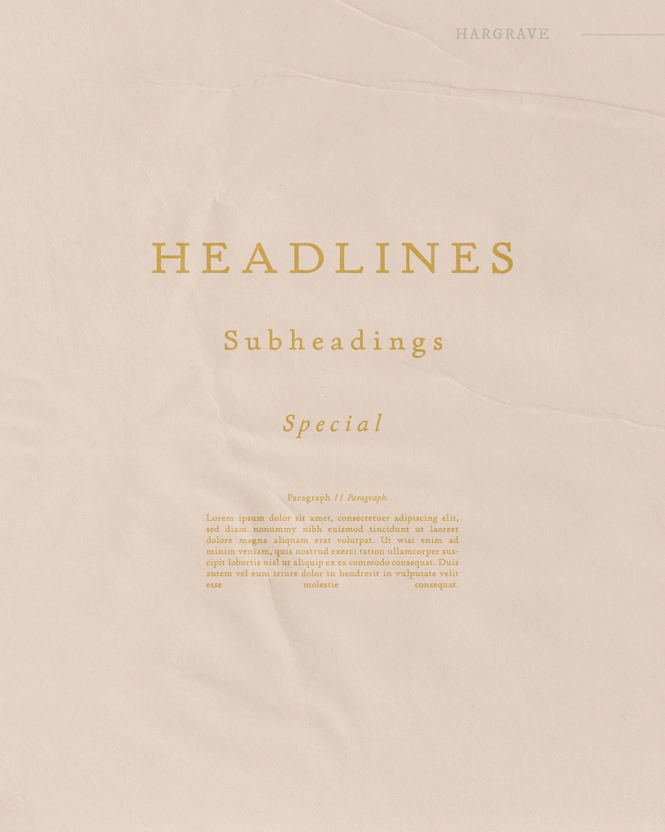 Hargrave font hierarchy for this Type Tuesday! This was an example of a hero typeface—a singular font that worked for most of the materials. Because Hargrave was an elegant, classic brand, using just P22 Stickley Pro ended up adding to the cohesion rather than seeming flat. Utilizing the various styles paired with a custom calligraphed logomark completed the look.
⠀⠀⠀⠀⠀⠀⠀⠀⠀
I love fonts as much as the next girl, but sometimes all you need is the very best one. Have you ever used a single typeface for a whole project?
.
.
.
Created in @adobe Illustrator.
#mugglehugstudio #typetuesday #typography #fontinspiration #fonts #typographyinspo #fontpairings #typelover #typographydesign #creativeinspiration #graphicdesign #discoverunder2k #inspofinds #fontcrush #brandingideas #brandinginspo #eventplanningbranding #eventplanningbrand #creativeladydirectory #createcultivate #digitaldesign #designingwomen #magicaldesign #midwestartists #designinspiration #creativewomen #creativedesigner #creativecontent #creativedesign #smallcreatives
