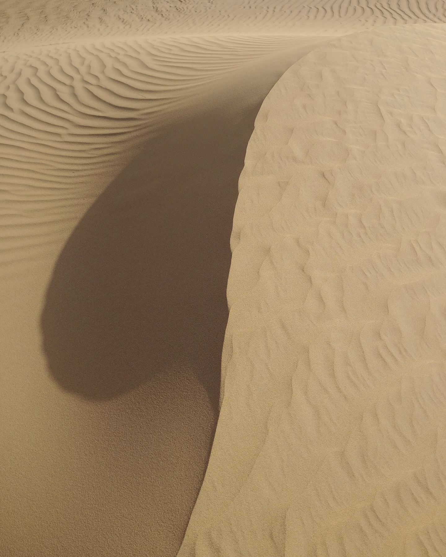 Shaped By The Wind.
#Lovaurè #LuxuryWeddings #UAEWeddings