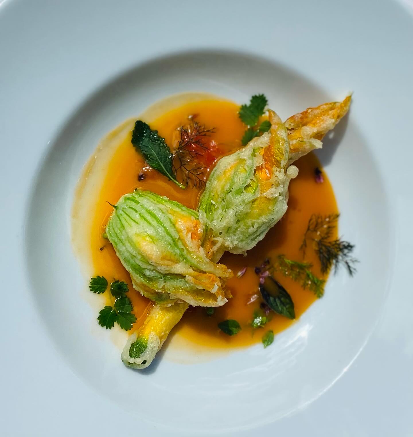 Gerade eben eingetroffen, heute Mittag schon auf der Karte: super schöne Zucchiniblüten, gefüllt mit Ziegenfrischkäse, Kräutern und Pinienkernen mit Tomatenessenz und Gewürztomaten. #einfachgut #dassindwir #vegetarischeküche #leichteküche #veggie #saisonaleküche #regionaleküche