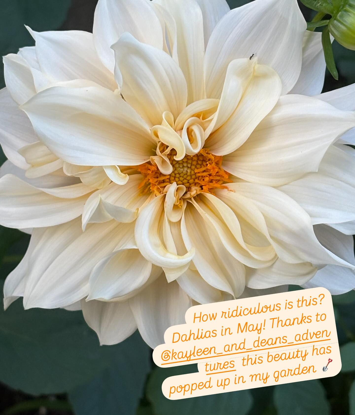 Gosh the seasons are changing…