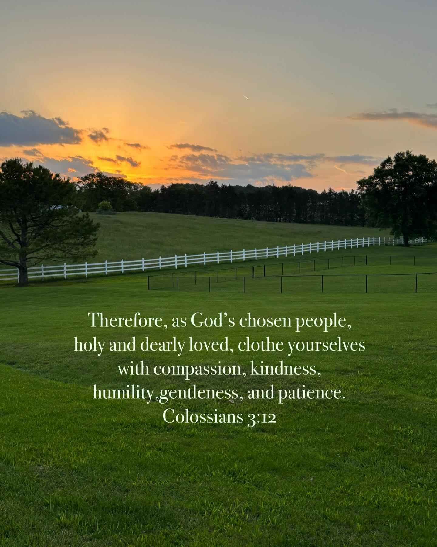 Made holy only by the sacrifice of Jesus. He took my sin and shame- swapped places with me. Calls me holy only because I receive the gift of it all. Dearly loved by Him. I never seem to fully comprehend this because it doesn’t make sense to the human mind. But its who He is… a Father who loves dearly. By faith, I believe and receive. A choice I make. Fully understand? No. But when I choose Him, there is good fruit.
