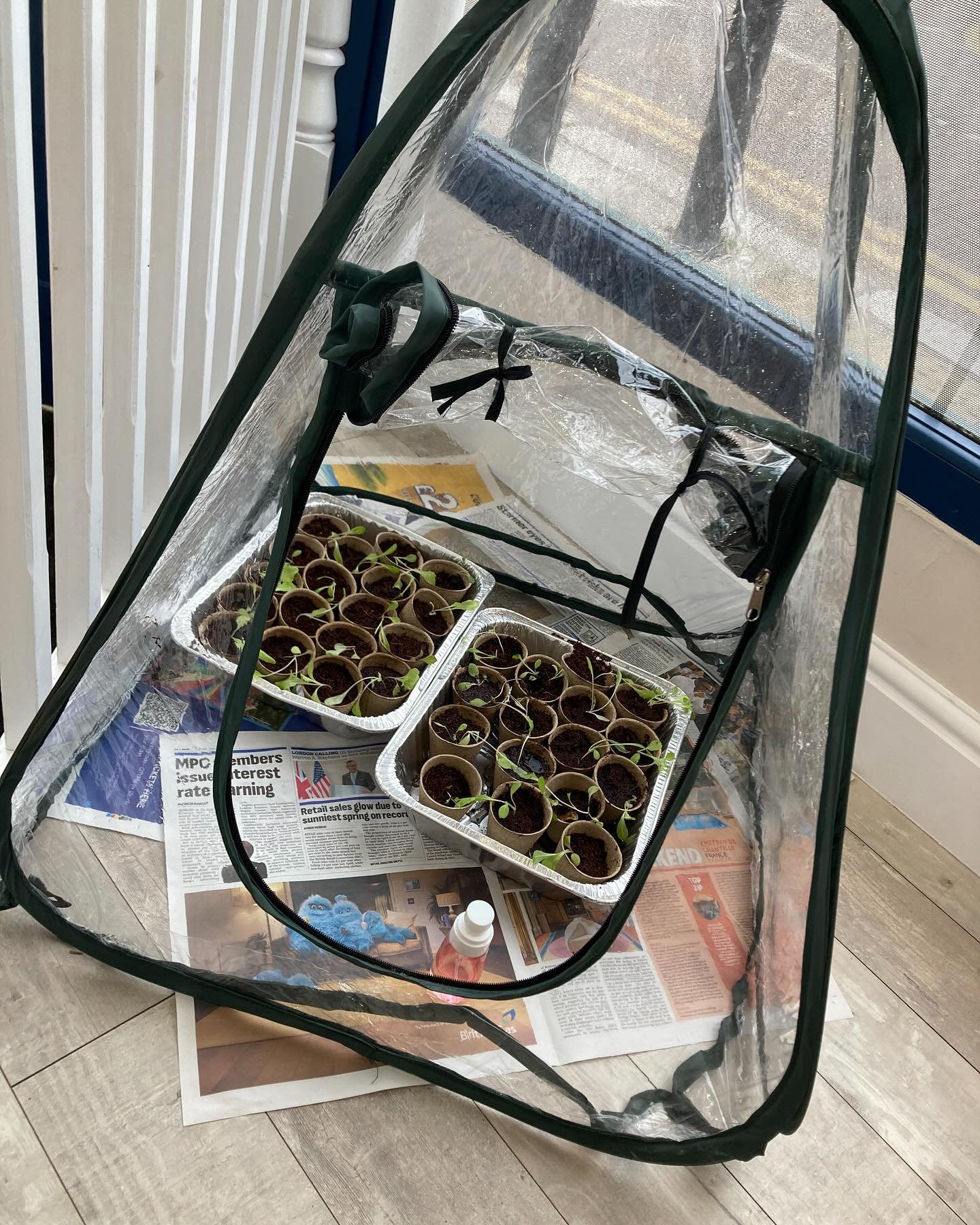 In Montessori, gardening is more than just a fun activity—it’s a deeply purposeful part of the child’s development.
Through planting, watering, and nurturing plants, children learn responsibility, patience, and care for living things. They experience the magic of life cycles firsthand and develop a natural connection to the earth.
It’s also a moment of calm and focus—an invitation to slow down and observe. Every leaf, every sprout, becomes a lesson in observation, mindfulness, and respect for nature.
In the Montessori classroom and garden, we’re not just growing plants—we’re growing hearts, minds, and a love for the world around us.
\#MontessoriLife #GardeningWithKids #MontessoriAtHome #MontessoriOutdoors #PurposefulWork