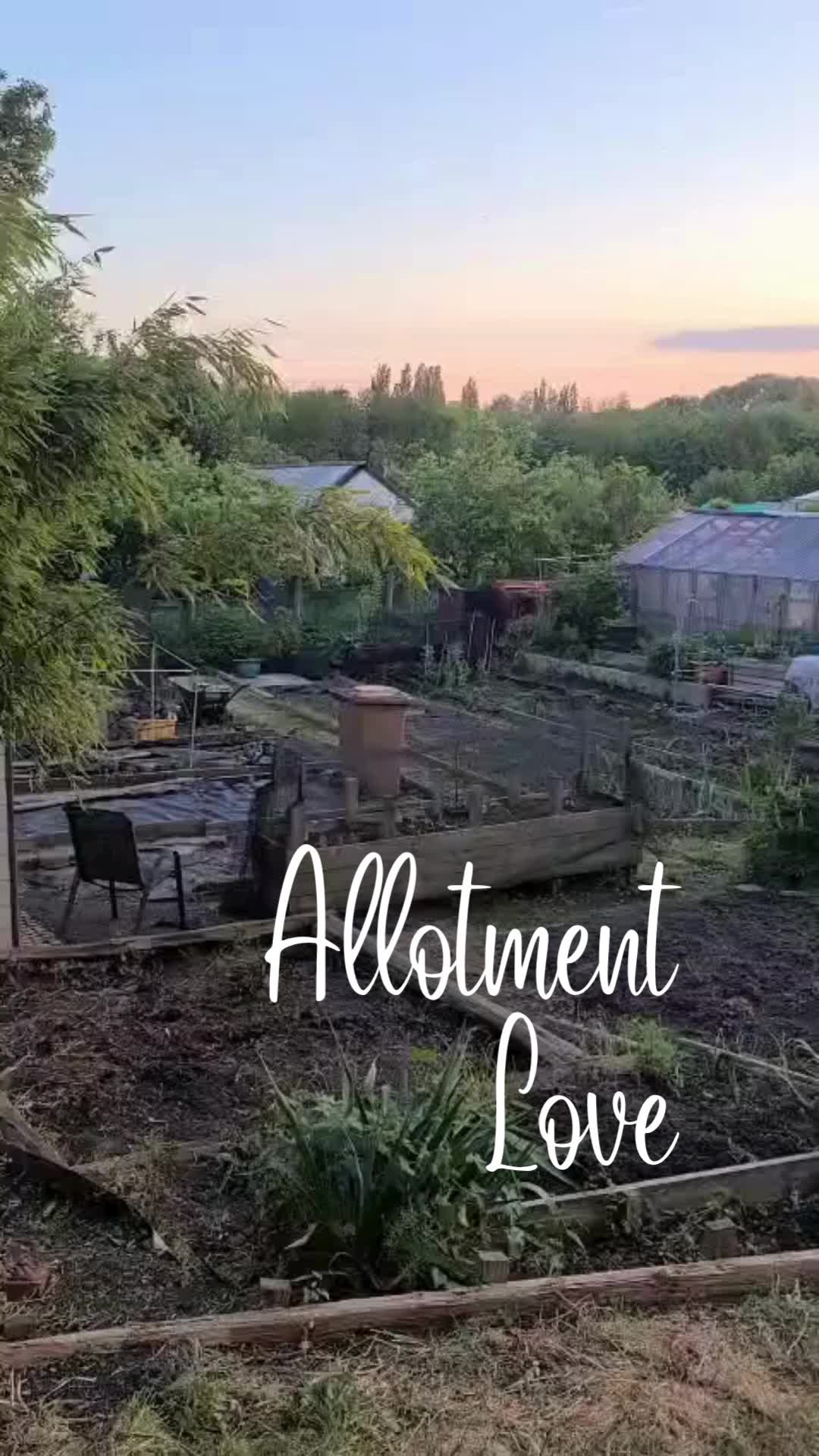 I'll be sharing our allotment progress very soon! 🌱 But as I was leaving the plot the other day, I saw this 😍 I was just reminded how lucky we are, to have access to green spaces like these 🥰🌍💚 Feeling very blessed! #allotmentlove #allotmentlife #allotmentuk #greenspaces #greenspacesmatter #growyourown #gyo