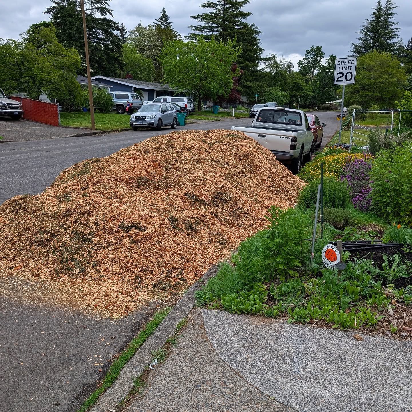 That time of year 😁
•
•
•
#PepperBusiness #HotSauce #FermentedHotSauce #FreshPeppers #PortlandOregon #StJohnsFarmersMarket #PDXPeppers #ChiliPeppers #SpicySauce #ThePepperNursery #ArtisanHotSauce #FreshLocalPeppers #PortlandPeppers #PDXFoodies #PDXFarmersMarket #FarmToBottle #PepperFarm #FermentedPeppers #SpicyFoodLovers #PDXart #LocalHotSauce #PepperGrower #PortlandFarmersMarket #ChiliHeads #FarmersMarketFinds #PDXSpicy