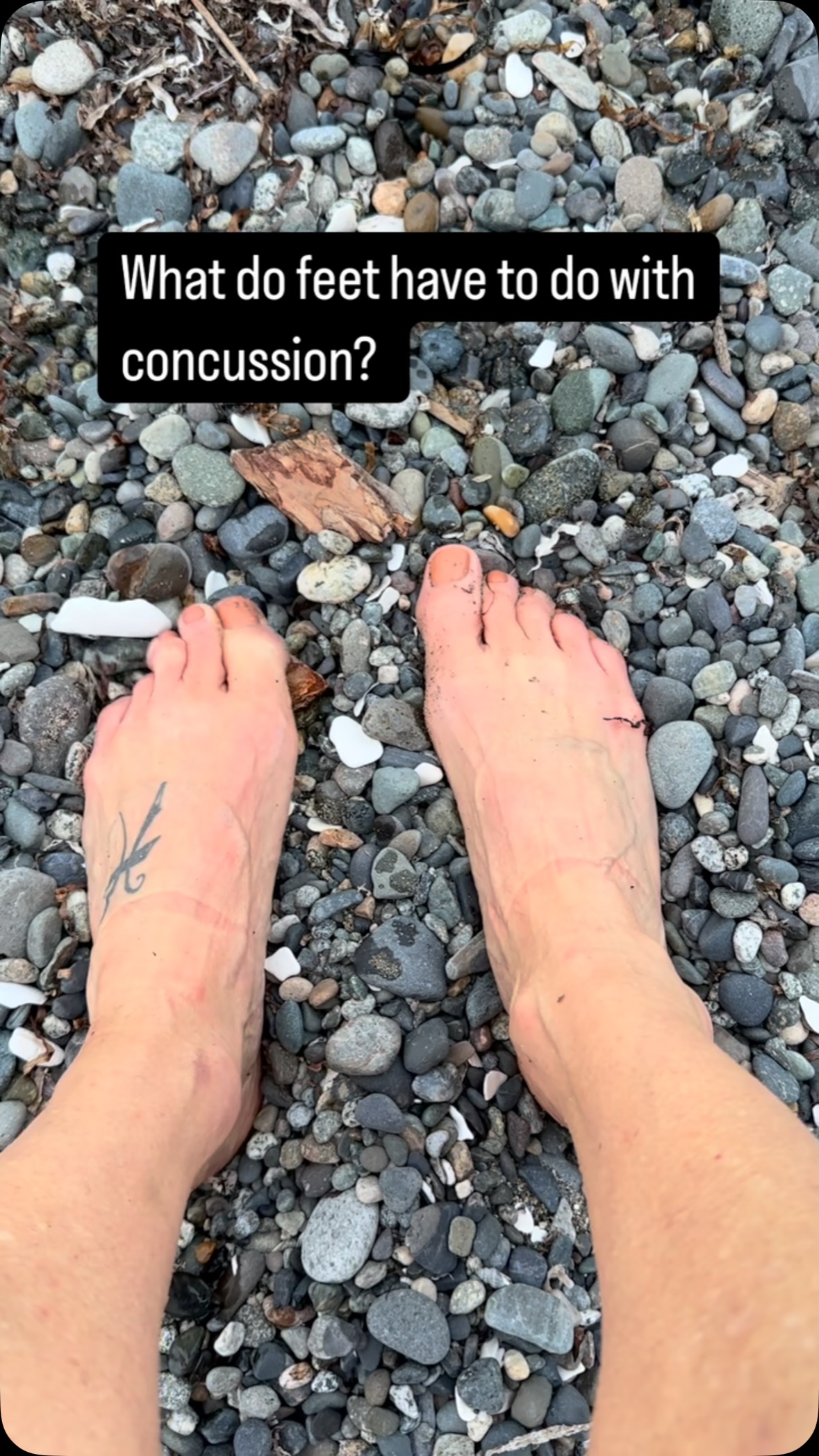 Did you know that your somatosensory system can be dysfunctional after concussion? ( parietal lobe) This can lead to feeling clumsy, disconnected from your body and experiencing poor balance.
Providing sensory input to the feet with different sensory input, temperatures, massage, and the barefoot mind body practice of YOGA can all help to bring this back online.
This gets you back into balance, creates safety in the body and lets you get back to fancy footwork for things like dancing, hiking and more.
#somatosensory #yoga #ot #balance
#mindbodyspirit#sensoryintegration#postconcussionlife #empoweredrecovery #holisticrecovery #occupationaltherapy #pcs #persistentconcussionsymptoms #vestibular #dizziness #visualimpairment #nervoussystem#nervoussystemregulation#postconcussion #tbi
#concussionrecovery #concussion #brainenergy #concussioncoach #yoga #returntowork #livingwhilehealing #patienttoperson