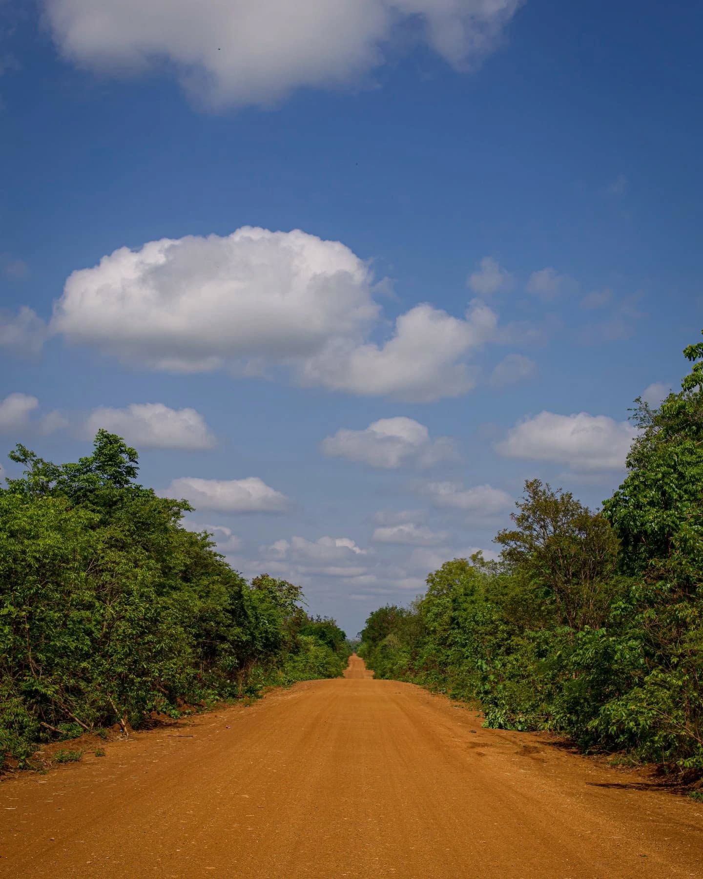 J'ai quitté cette vie d'expat certainement trop confortable. C'était il y a à peine quelques jours et ça me paraît déjà une toute autre vie. J'ai pris plein Nord pour longer la frontière thaïlandaise puis laotienne vers l'Est.
Là-bas, les paysages ne sont que désolation et la lumière que poussière. Ces terres de feu calcinées par l'avidité humaine m'invitèrent à l'introspection.
Alors j'ai plongé quelques jours en moi-même. J'y ai trouvé beaucoup de poussière. Encore. Puis, le vent puissant de l'aventure a soufflé, nettoyé, purgé, décrassé...
Y avait-il finalement de la beauté cachée dans ces paysages de misère ? J'ai fini par en trouver.
Car au bout, tout tout au bout de ce chemin semblable à une plongée dans un morne placard poussiéreux, il y avait la vie ! Dans mon champ de vision d'abord, puis dans mon corps, l'eau puissante du Mékong a jallit et lava jusqu'à mon paysage intérieur.
I left this expat life that was probably too comfortable. It was only a few days ago and it already feels like a completely different life. I went straight north along the Thai border and then eastwards along the Laotian border.
Over there, the landscape is nothing but desolation and the light nothing but dust. These lands of fire burnt by human greed invited me to introspection.
So I plunged into myself for a few days. I found a lot of dust. More dust. Then, the powerful wind of adventure blew, cleaned, purged, scoured...
Was there, after all, hidden beauty in these miserable landscapes? I did find some.
Because at the end, at the very end of this dusty journey, there was life! First in my field of vision, then in my body, the mighty waters of the Mekong rushed and washed over my inner landscape.
