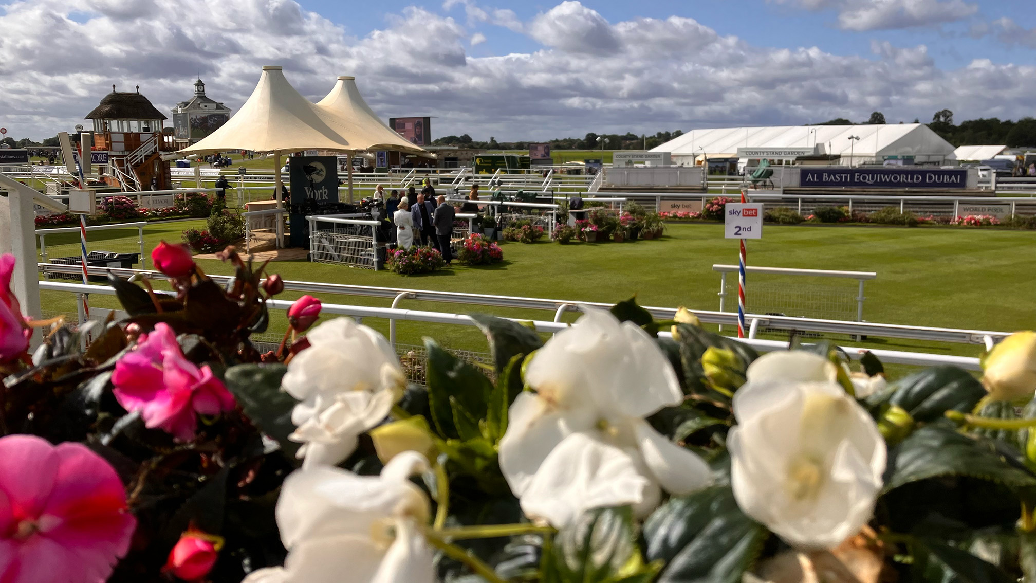 The #Parade #Ring @YorkRaces - #August 2024