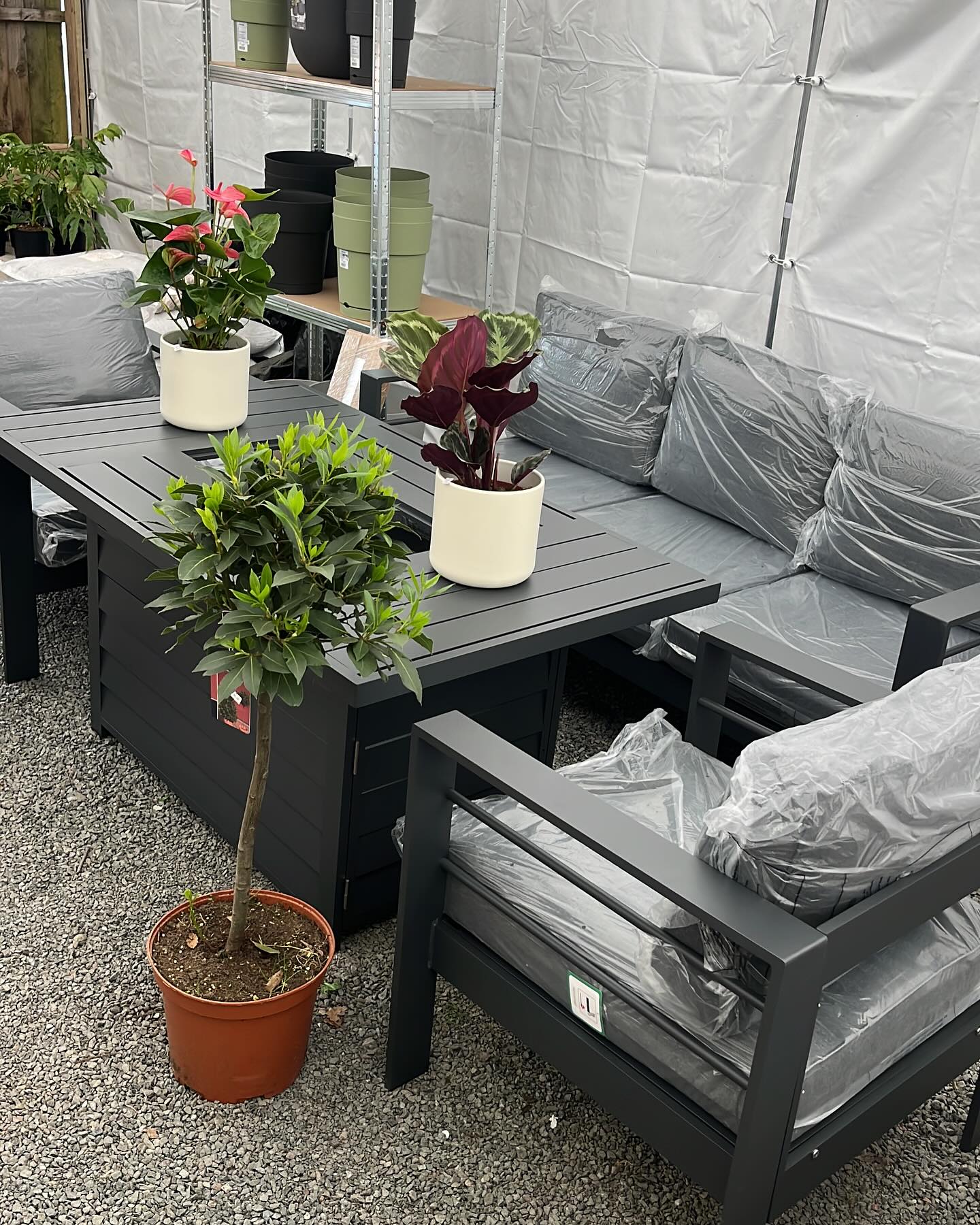 🌸New in this week🌸 we’ve had more Fire pit sofa sets, pond plants, indoor plants including Venus fly traps and cacti along with large green leaf selection 🌸😀