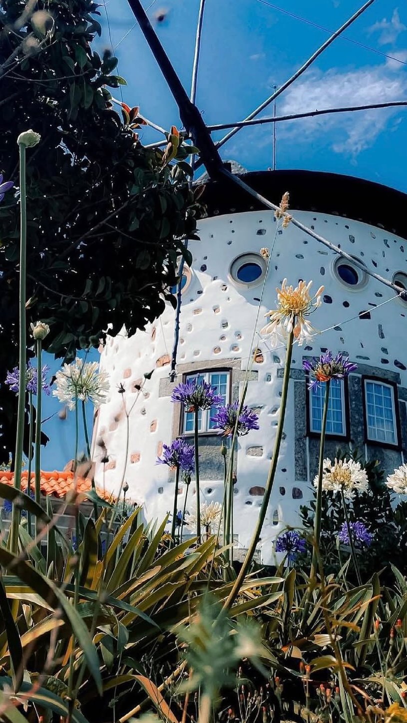 Did you know❓
🧱 It took over 3 years to build the Moinho House, stone by stone, by hand?
🪨The stone wall in our living room comes from the big rock right across the windmill?
🪅The colourful stained glass inside the house was rescued next the rubbish near the fountain on Rua da Silveira in Porto by my grandmother, Madalena?
We’ve opened the doors to guests but the soul of the house is still the same.
It’s more than a home, it’s a memory keeper!
This isn’t just a stay, it’s a family-built windmill with a story behind every “corner”
Curious to see more of the house then vs now? Drop a 🧱 in the comments and we’ll post a part 2!
#beforeandafter #traditionandhistory #timelesscharm #airbnbportugal #hiddengems
