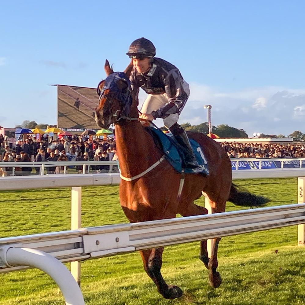 As #horse #racing returns to @yorkraces this week, check my review of the #racecourse and its link to #fundraising for @macmillancancer for the next meet in #June: https://tinyurl.com/3wwcrrkj