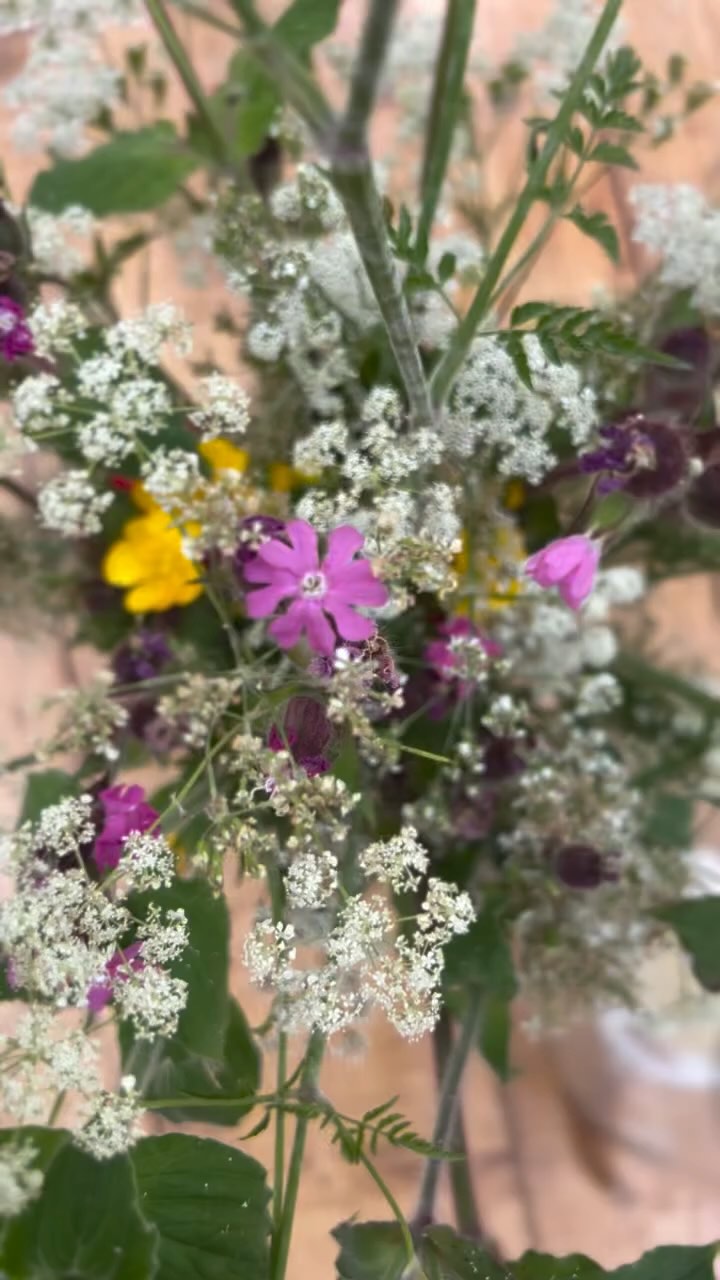 🌸🎶 This Sunday- early evening… we welcome you to a very special one-off intimate, double bill concert with @mayalovemusic and @jya.raine at the beautiful Avalon Permaculture Gardens near Glastonbury.
🌸 We will be sharing our nature-inspired, soulful songs as a pre-festival season warm up and would love to share it with you in this magical setting. ✨
Doors open 6pm, Music 6.30pm-8.30pm.
Tea and cake available.
🎟️ Tickets are £15 and space is limited so do book now to hold your place.
Link in bio 🔝 or bio of @wearewildsessions or you can DM us.
🌸 We look forward to welcoming you in song 🎶
#avalonpermaculturegardens #natureinspired #glastonburyconcert #intimateconcert #houseconcert #flowermoon #scorpiomoon #greenhouse #retreatvenue #wildsong