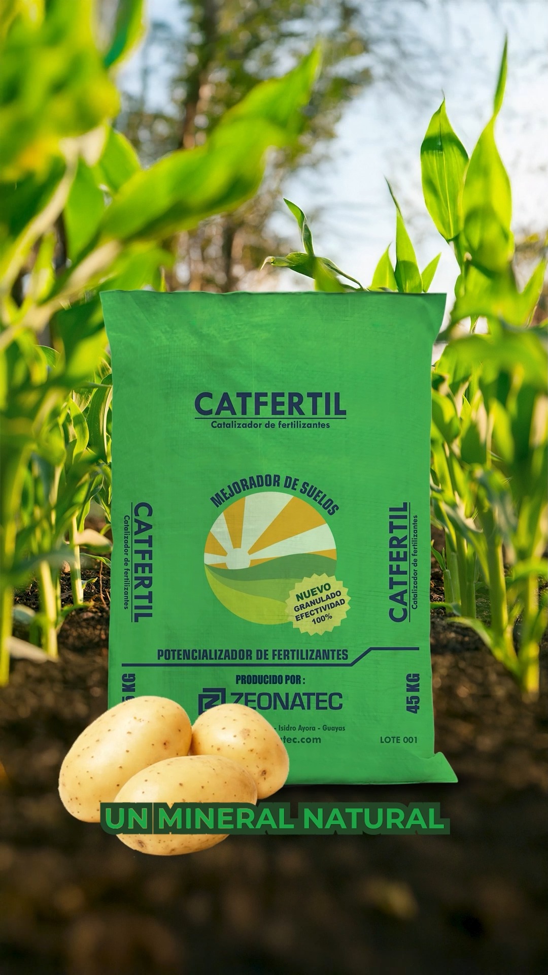 🌱 ¿Qué es la zeolita y cómo mejora tu cultivo?
La zeolita es un mineral natural con una estructura porosa que actúa como un filtro molecular, mejorando la calidad del suelo y promoviendo un ambiente saludable para las plantas.
CATFERTIL de Zeonatec es una zeolita natural que:
✅ Incrementa la productividad del suelo, proporcionando nutrientes de manera lenta y ordenada.
zeonatec
✅ Regula el pH de manera eficiente, mejorando la sanidad del cultivo.
✅ Promueve una alta concentración de nutrientes esenciales en el suelo.
📞 Contáctanos al +593 96 324 1660
🌐 Más información en: zeonatec.com/catfertil-zeolitanatural