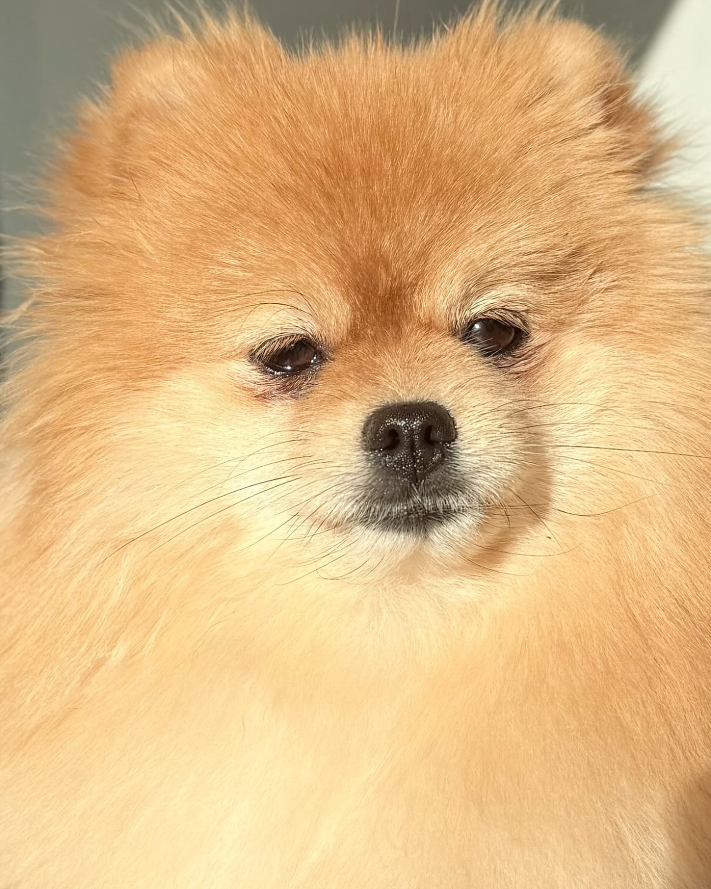 Vienna ♥️♥️♥️. Ze heeft de beste mama dat je je maar kan inbeelden. Laura, je bent de beste!