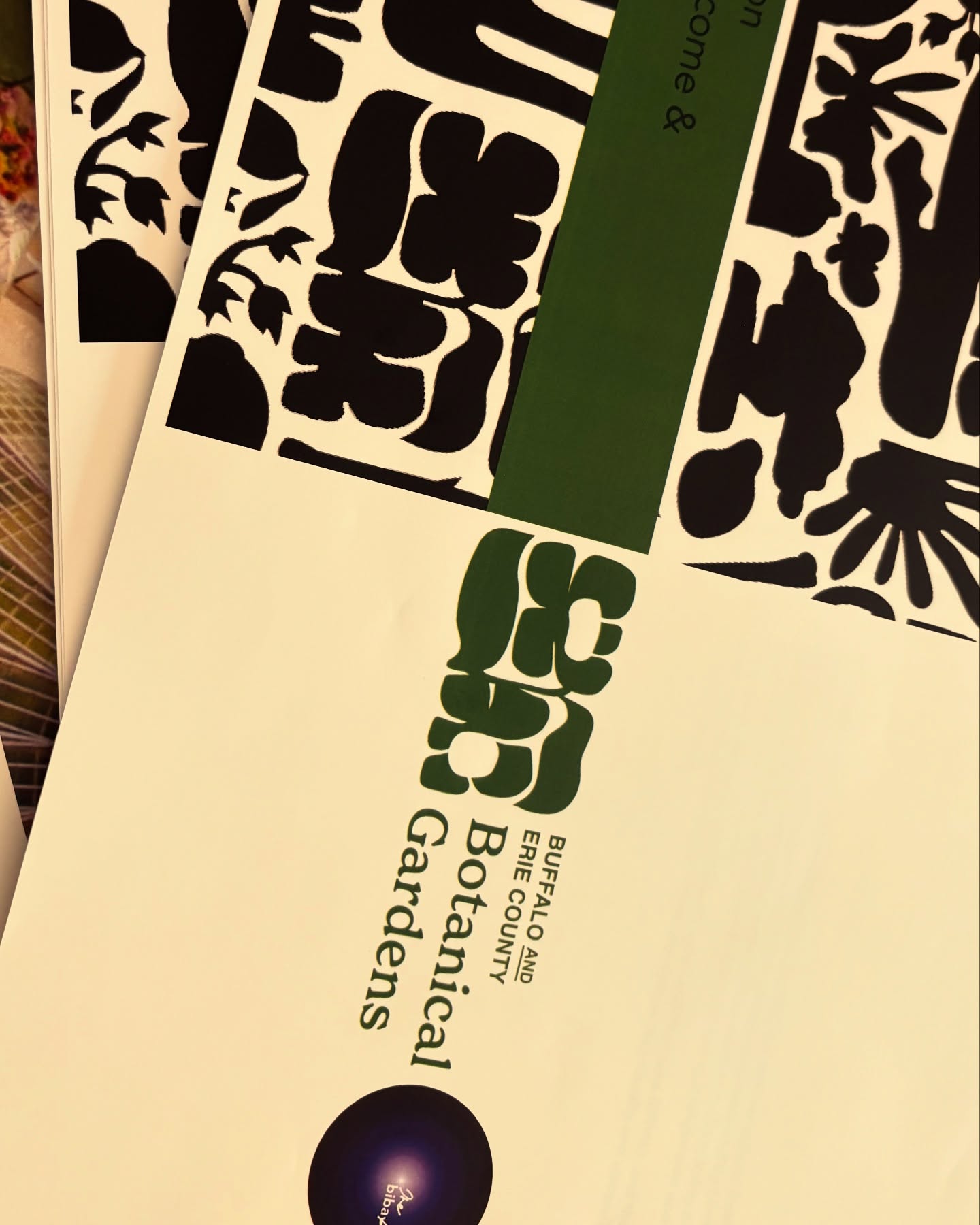 The past 24 hours and it’s a Friday wrap!
#designlife #bibastudio #interiordesign #buffalony