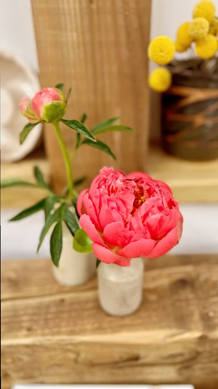 ~• PEONIES•~
We had a clear down yesterday to make room for peony season… many wonderful flowers have been (and gone) this year- magnificent magnolias, graceful wisteria, heady lilacs, and abundant mayflowers, delicate cow parsley and vibrant azaleas are all present already but nothing captures our hearts as much as peonies. They start with such bright, regimented, sticky, lollipop heads and they pop into bright, many petaled cups filled with yolk yellow stamens. Then slowly pale and fall apart with a delicate, faded beauty. You only have to look at the works of ancient Chinese artists, the Dutch masters or leader of the Arts and Crafts movement William Morris, to see their long held appeal.
They’re often found adorning walls in papers and chinoiserie silks, frescos and murals or in soft furnishings, gift wrap and cards- anything to capture the peony so that year long wait is negated…but nothing compares to their beauty in real time.
The barrel ring is cleared and is waiting for its next seasonal dressing…
what would you like to see on there?
What’s your favourite flower?