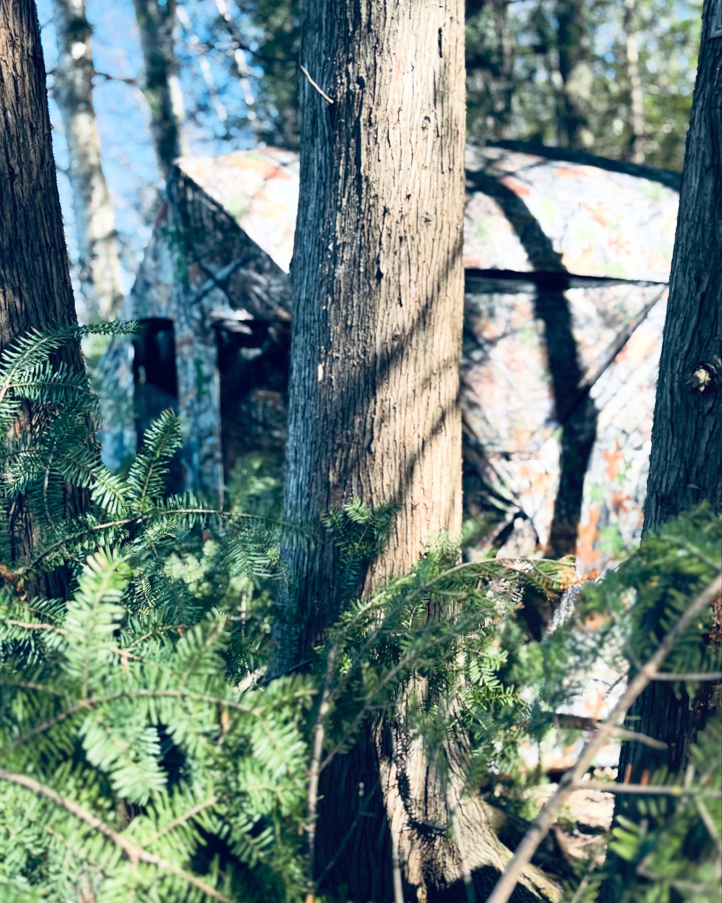 Be invisible with our Blinds