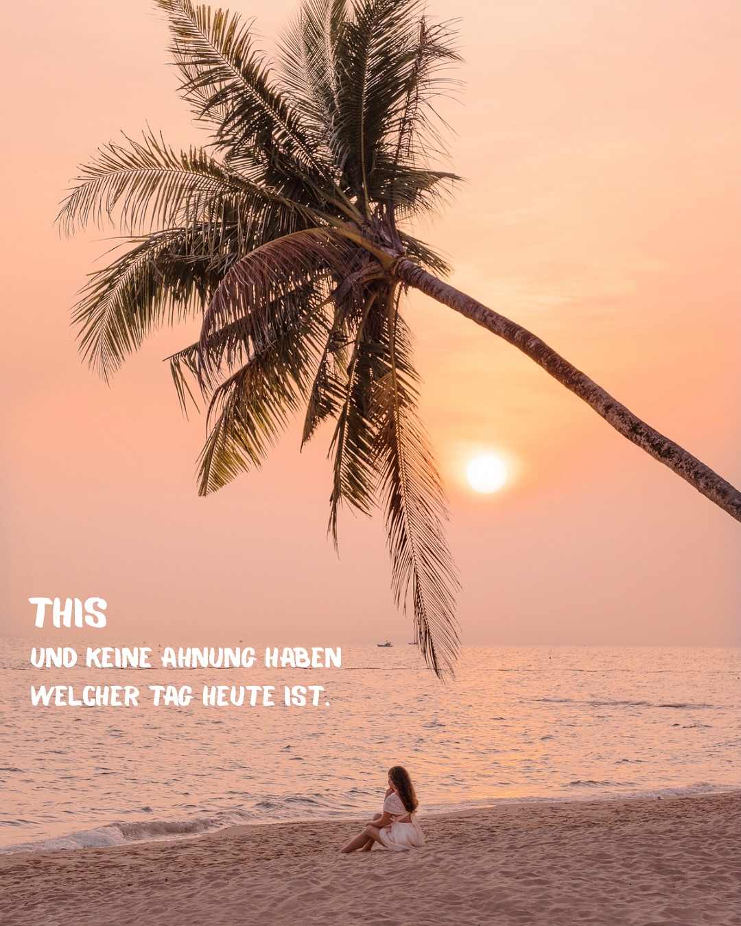 Wir sind urlaubsreif … und haben Fernweh … keine gute Kombination. 🫣 Oder vielleicht genau die richtige, wenn die nächste Reise und damit eine Linderung schon in greifbarer Nähe ist. ☺️ Nächste Woche startet endlich unsere erste große Reise mit unserer kleinen Ellie 🐶 im Gepäck. Wir sind schon gespannt, was sie sich alles einfallen lässt, um unsere Reise auf dem Kopf zu stellen.😅
.
.
.
#fernweh #wanderlust #reisefieber #reisefotografie #fotografie #travel #travelphotography #photographylovers #reisebblogger #reiseblog #travelblog #reiseinspiration #reisetipps #vietnam #toskana #neuseelnd #fujifeaturetime #fujifilm