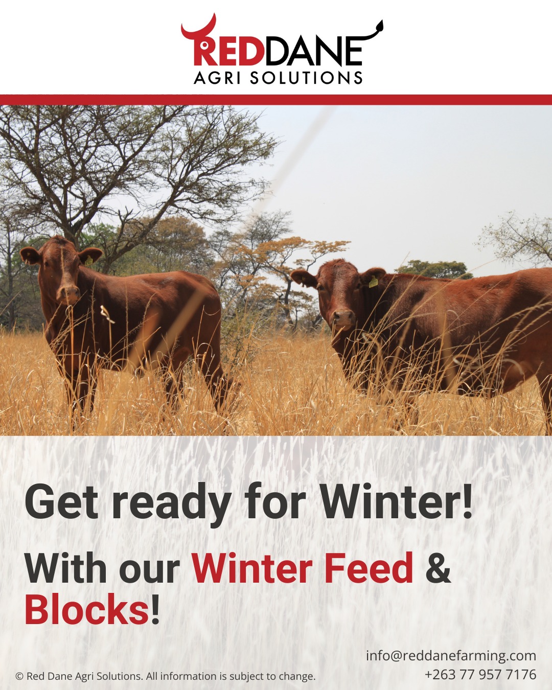 ❄ Winter is in full swing! Be prepared with our winter feed and blocks.
We offer a wide range of different solutions to make sure your livestock is not losing condition, as it will negatively impact on health and productivity.
#RedDaneAgriSolutions #RedDaneAgriCentre #Icefeed #CompleteAnimalNutrition #Stockfeed #WeAreLivestock #AgriCulture #Caremix #WinterFeeding #DallasKeithAfrica #LivestockHealth #SmartFeeding
