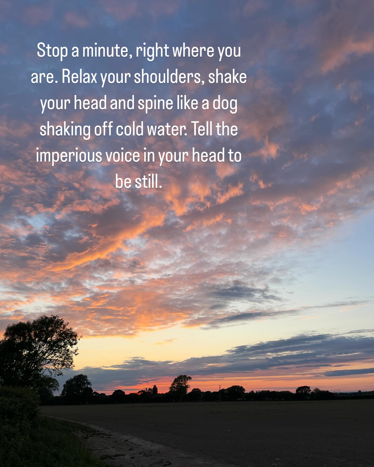 ✨ Last night’s sky above the fields around Sidlesham…
“Stop a minute, right where you are. Relax your shoulders, shake your head and spine like a dog shaking off cold water. Tell the imperious voice in your head to be still.”
~ Barbara Kingsolver ✨
#mindfulness
#returntoyourself