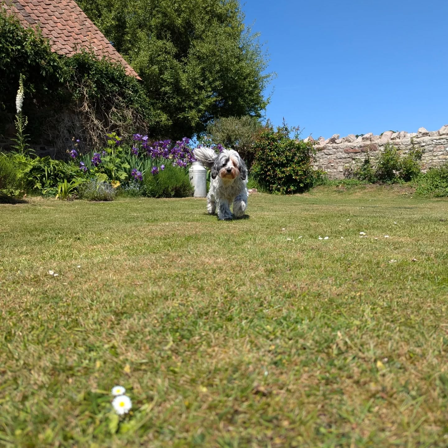 I made a new friend today 🥰
Welcome to the team, Herbie!