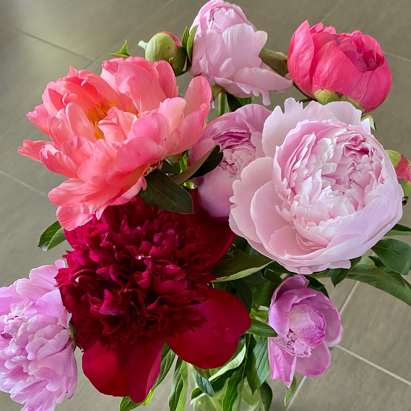 Die wunderschönen Pfingstrosen haben jetzt Saison. Manchmal öffnen sie sich nicht, weil sie etwas verklebt sind. Das kannst du machen:
🌹mit etwas Fett einreiben und dann mit lauwarmem Wasser abspühlen.
#pfingstrosen#coralsunset#lieblingsblume#blume #blumenstrauss#floristin#florist#meisterfloristin #lokal#dürnten#saison#garten#gartenliebe
PFINGSTROSEN
BLUMENSTRAUSS
TISCHDEKORATION
BLUMENABO
FLORISTIN