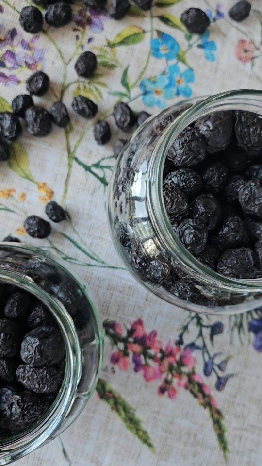 An easy way to preserve olives, this method involves picking, then pricking (we used a fork), sitting in salt for about 8 days (to get rid of the bitterness) then soaking in water (to get rid of the saltiness), for a few days. Keep taste testing to your desired flavour. Then dry them out in the sun š presere in Monks Lane olive oilš herbs can be added, or try gently heating them up in a frying pan with sambucca! Oh my goodness, what a treat!
.
.
.
#farmtotable #olivefarm #oliveharvest #olivetree #farmliving #farmlife #farmingĀ #oliveorchard #olivetreezĀ #landscapes #landscapelovers #foodie #olivefarm #evoo #oliveoil #oliveoillovers #extravirginoliveoil #camdenlocalproduce #organic #oliveoilbenefits #farmtotable #oliveharvest #olivetree #organicoliveoil #preservedolives #coldpressedextravirginoliveoil #camdennsw #macarthurmums