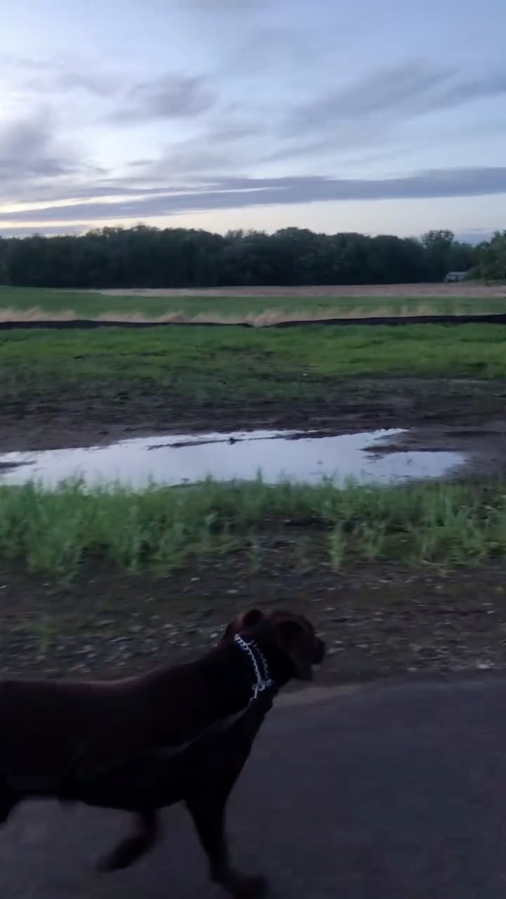 Nostalgia’s on the wind tonight
Stripping me of my fear of the future
Simply because it guts me deeper
Never returning to the past
Caressing scents of lilac
Pull like a tether
Guide me home
Like blinking lights of firefly
In the history of the twilight