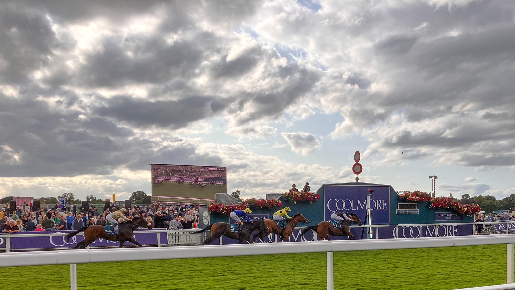A clear winner @YorkRaces for the August 2024 #Ebor #Festival