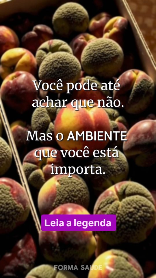 Um pêssego inteiro. Bonito. Firme.
Mas cercado por outros — podres, mofados, vencidos pelo tempo.
A pergunta é: até quando ele aguenta?
Até quando uma fruta saudável permanece assim num cesto onde tudo apodrece?
A gente gosta de acreditar que é forte 💪 Que aguenta firme, mesmo em um ambiente ruim.
Mas a real?
Ninguém sai ileso de um lugar onde só tem crítica, estresse, reclamação e insegurança 😤💭
O ambiente pesa.
Suja nossas lentes 🕶️
Distorce quem somos.
E sem perceber, a gente para de escolher…
E começa só a reagir.
Porque o que chamamos de “livre-arbítrio” talvez seja só reflexo: da biologia, das experiências… e do ambiente ao redor 🌍🧠
Mas isso não é uma sentença.
Você não controla a correnteza 🌊
Mas pode aprender a remar 🚣♀️
Pode sair do cesto.
Pode cuidar de si, do corpo, da mente — e escolher melhor onde (e com quem) amadurecer 🌱✨
Porque o cérebro é como fruta: absorve o que está por perto.
E se você se cerca de podridão… não espere florescimento 🌸
No fim, liberdade não é fazer qualquer escolha.
É entender o que está moldando suas escolhas.
🔁 Olhe de novo pra essa imagem:
Você quer ser o pêssego firme — ou o próximo a apodrecer?
Ambientes moldam pensamentos, atitudes e até quem você acredita ser.
Mudar de lugar não é egoísmo.
É auto cuidado responsável 🎈
#SaúdeMental #Autoconhecimento #Psicologia #AmbienteImporta #MudeParaViver #CuidadoEmocional #Reflexão #Psicoterapia #EscolhasConscientes #CrescimentoPessoal #BemEstar #TerapiaTransforma #Mentalidade #MudeSeuAmbiente #PsicólogaNoInsta #VivaLeve