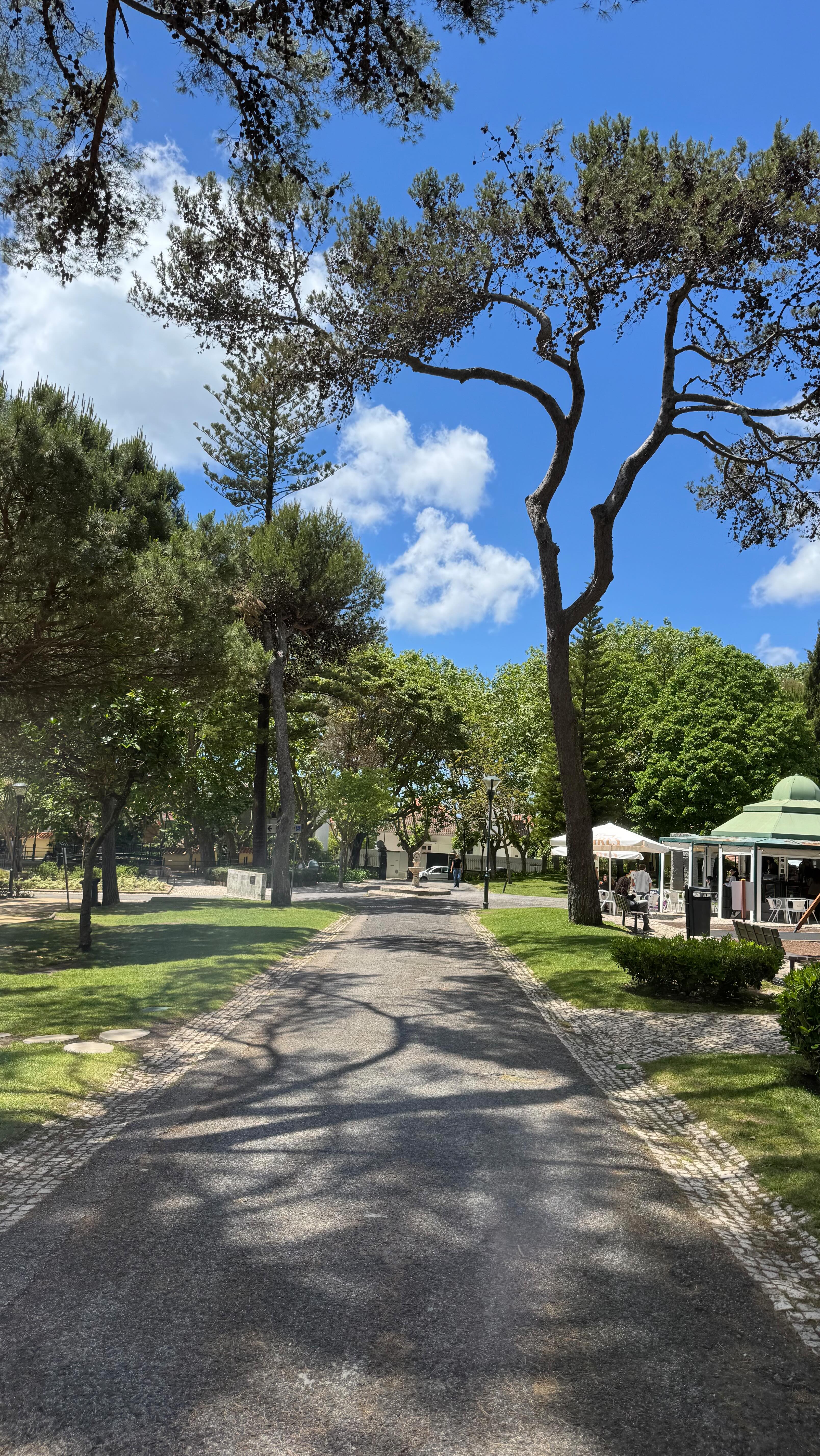 Coffee by the sea, thoughts unveiling, walking through green, hearts connecting!
These are some of our favourite morning rituals in between practice! ♥️
#yogapractice #morningrituals #paredeestoril #yogaparede #surroundings #spring
www.layayogastudio.com