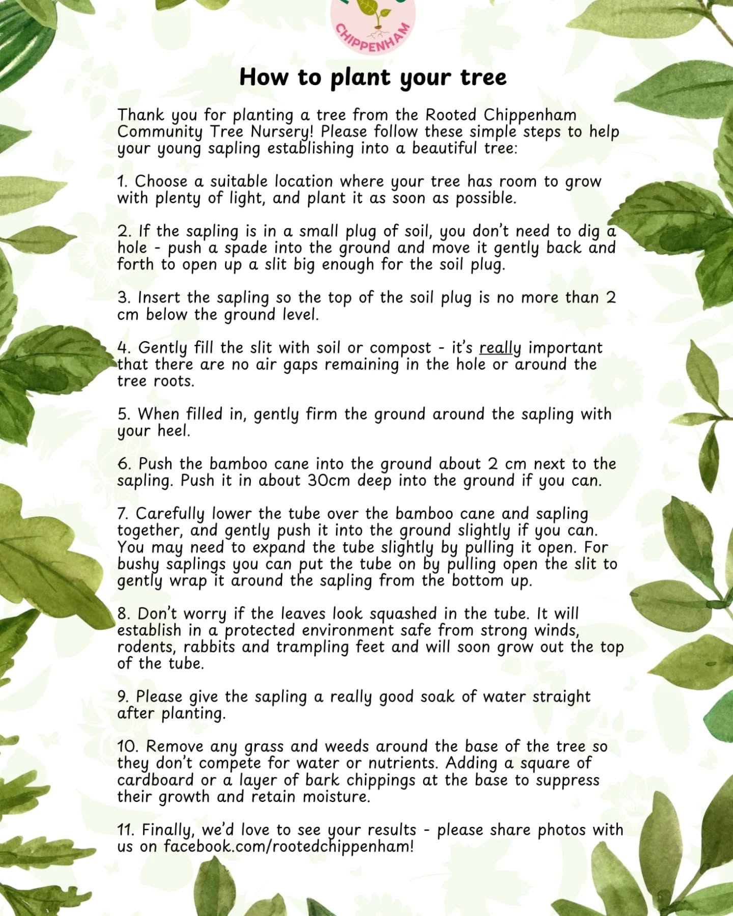 We gave away 80 free trees today!! For anyone who took a tree home here are your planting and care instructions 🎄🌱🌳