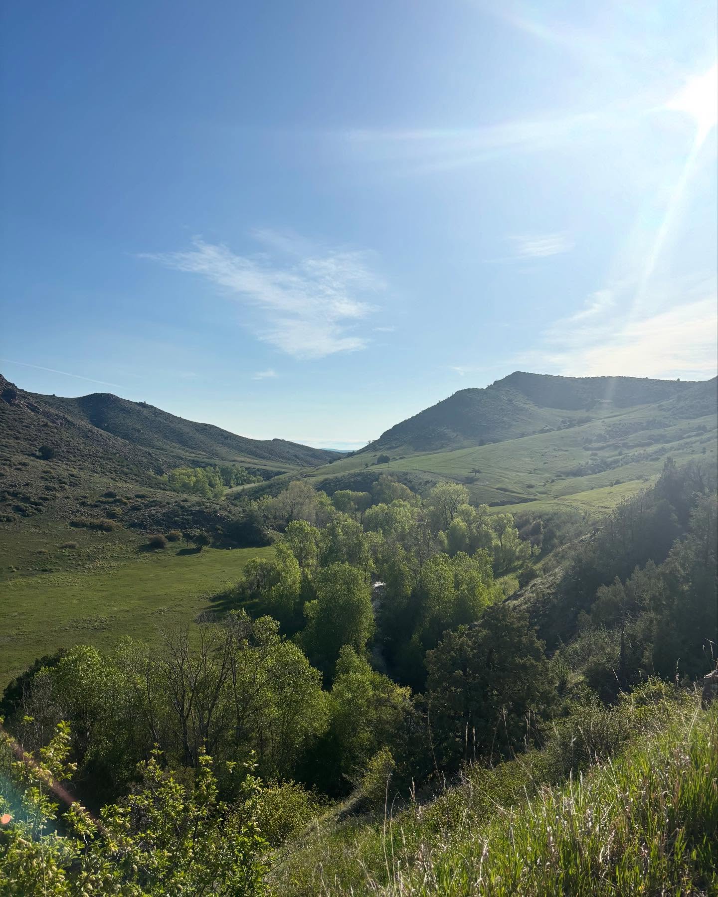 We went out to this hunting and fishing trail today and man was it worth it! With a lovely valley trail and gorgeous views, it was worth the drive. Check the end for our paid actress!
Trail: Lone Pine Trail
Time: 1:28
Distance: ~ 3 miles
#hiking #hikingbuddy #colorado #colorfulcolorado #nature #rockies #cows #riseandshine