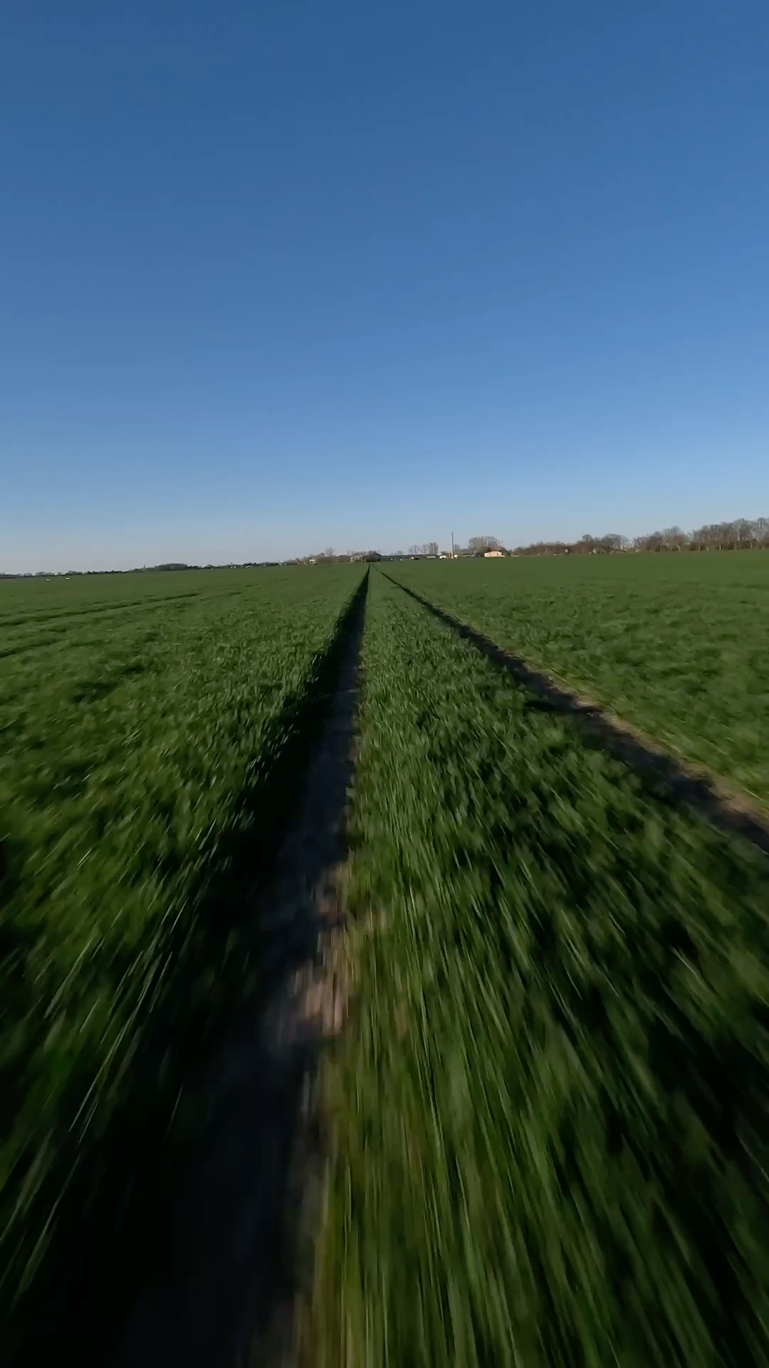 #fpv #fpvdrone #fpvlife #fpvcinematic #fpvdji #speedybee #djio3airunit #gopro11mini #radiomasterelrs