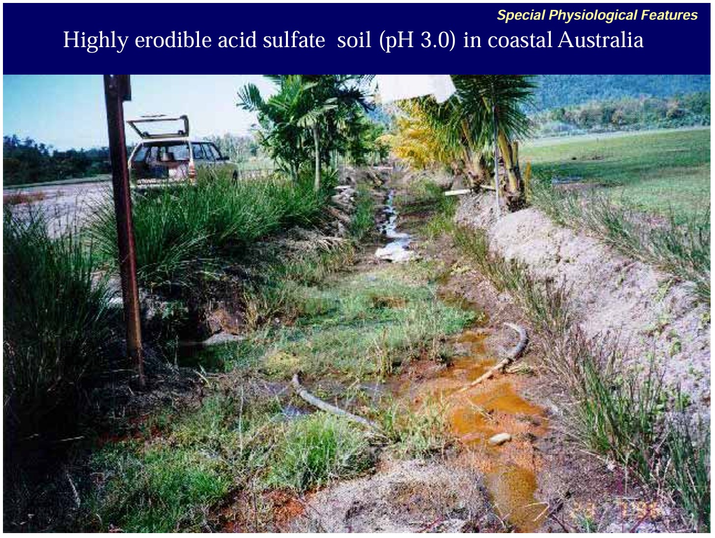 Acid Sulphate Soil Solution for a Sustainable and cleaner Australia.