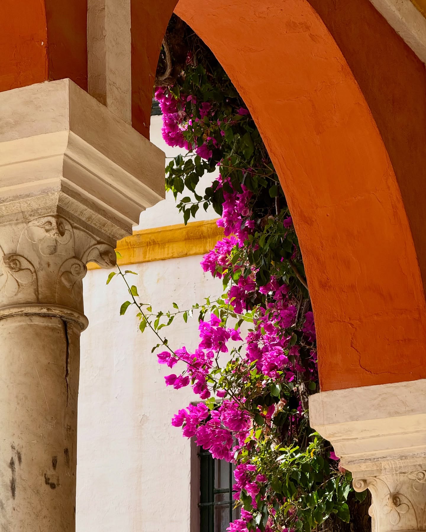 first steps in Séville 🧡🍊🌺🌞🇪🇸
#seville #espagne #voyage #traveleurope #spain