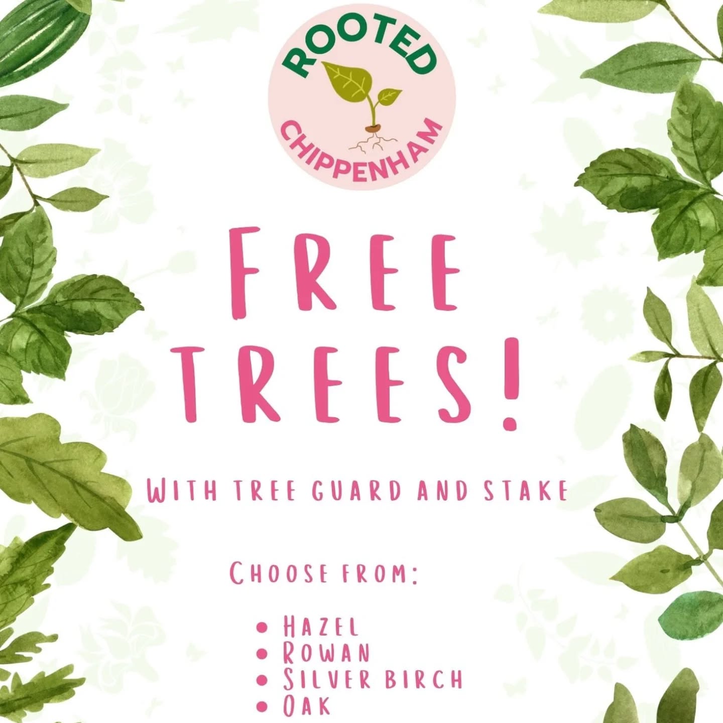 This Saturday 17th May we will be in Monkton Park at the 'Country Comes to Town' event organised by the Wiltshire Wildlife Trust @wiltswildlife.
We will have the first batch of free trees to give away from the community tree nursery 🎄🌱
Plus we will have a seed swap - so bring your old seeds and find something new to grow, some fun activities for kids and more!!
Come along and see us from 10-4pm 🌞