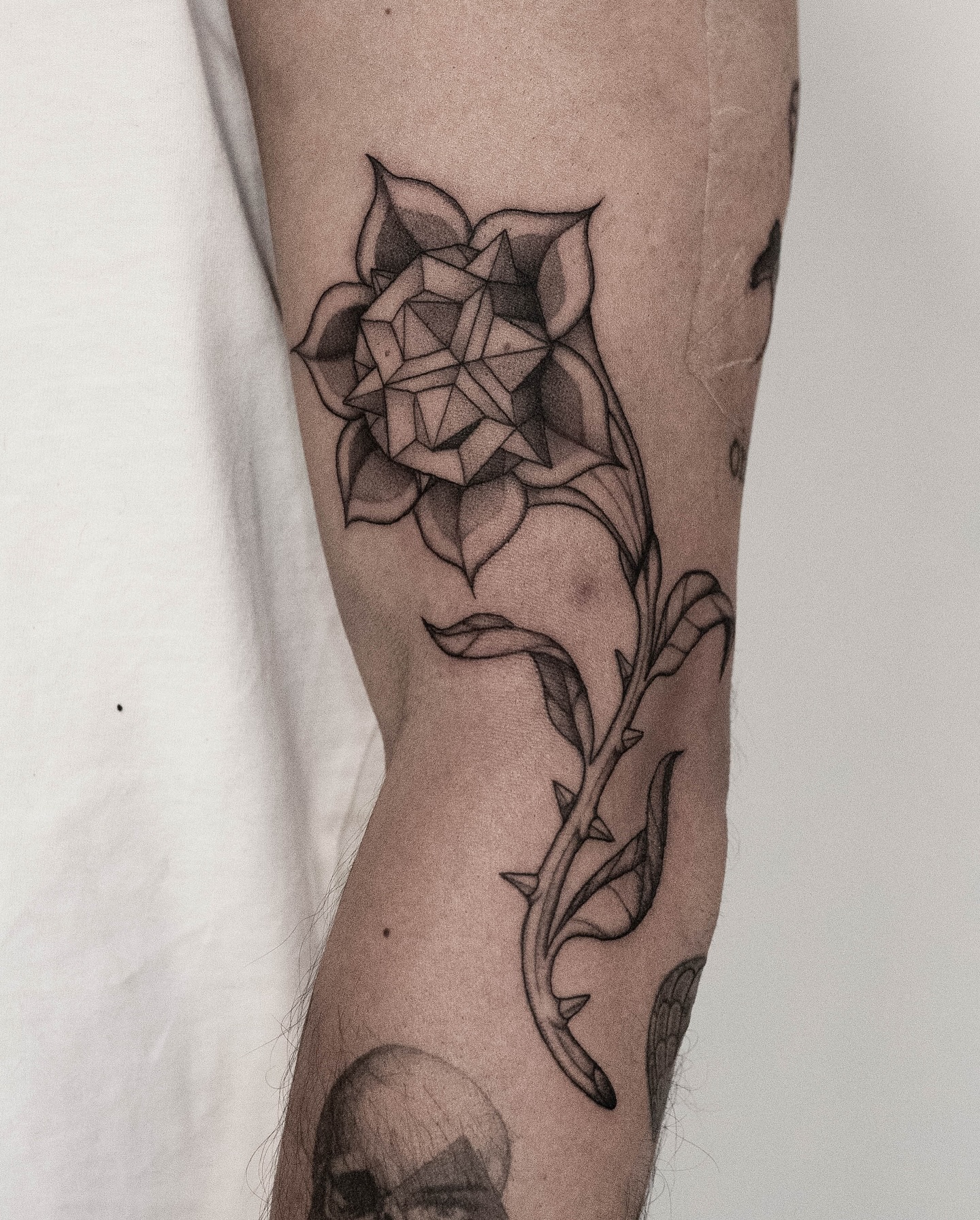Thanks Martin for choosing the flash and custom tattoo (swipe >>) along with your brothers Patrick and Daniel. It was a real pleasure doing their very first tattoos! Lovely meeting you all and being part of this moment. Hopefully see you again sometime!
#flashtattoo #abstracttattoo #tattoo #blackworktattoo #Eindhoven #Eindhoventattoo #finelinetattoo #tattooeindhoven #tattooidea #tattooart #tattoodesign #flashtattoos #tattooflash #dotworktattoo #dutchtattoo #dutchtattooer #graphicdesign #illustration #design #dutchart #besttattoos #contemporytattoo #amsterdamtattoo #surealism #spiritualtattoo #psychedelictattoo