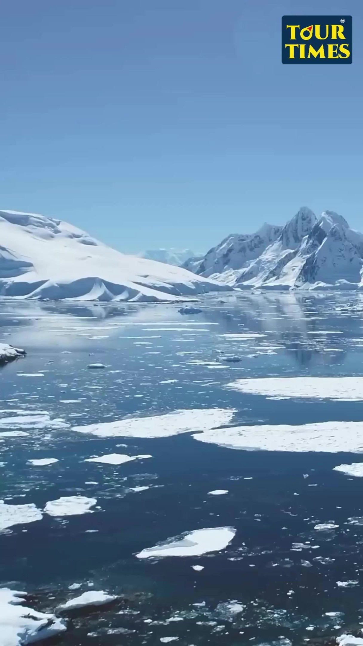 🌍❄️ Step into the Last Frontier!!!
Cruise through the untouched white wilderness of Antarctica aboard the luxurious Silversea 🚢 – where glaciers whisper stories and every iceberg is a sculpture of nature.
📍Not just a cruise, an expedition of a lifetime!
#AntarcticaCruise #SilverseaExpedition #TourTimesTravels #PolarAdventure #LuxuryTravel #WhiteContinent #BucketListJourney #FrozenWonders #ExploreWithTourTimes #AntarcticaExpedition #LuxuryCruiseLife #AdventureAwaits #NatureAtItsBest #TravelGoals #WondersOfTheWorld