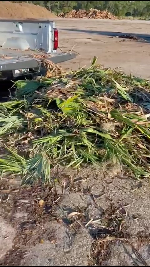 🧑🏻🌾🧉🪵
#lawncareservice#lawncarelife#lawnmaintenance#lawnmaintenanceservice#orlandoflorida#orlandofl