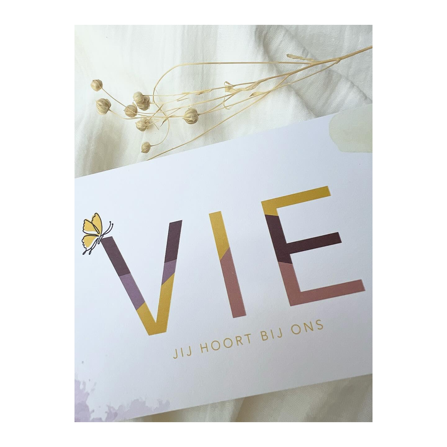 Welkom VIE 💛💜🧡
.
.
#geboortekaart #geboortekaartje #geboortekaartjes #baby #studioflo #drukwerk #uniekgeboortekaartje #babyontheway #babygirl #zwanger2025 #itsagirl #zwanger #20wekenzwanger #mommytobe #eenvoud #eenvoudigkaartje #droogbloemen #ontwerp #grafischontwerp #doopsuiker #suikerbonen #birthannouncement #cartedenaissance #graphicdesign #drukwerk