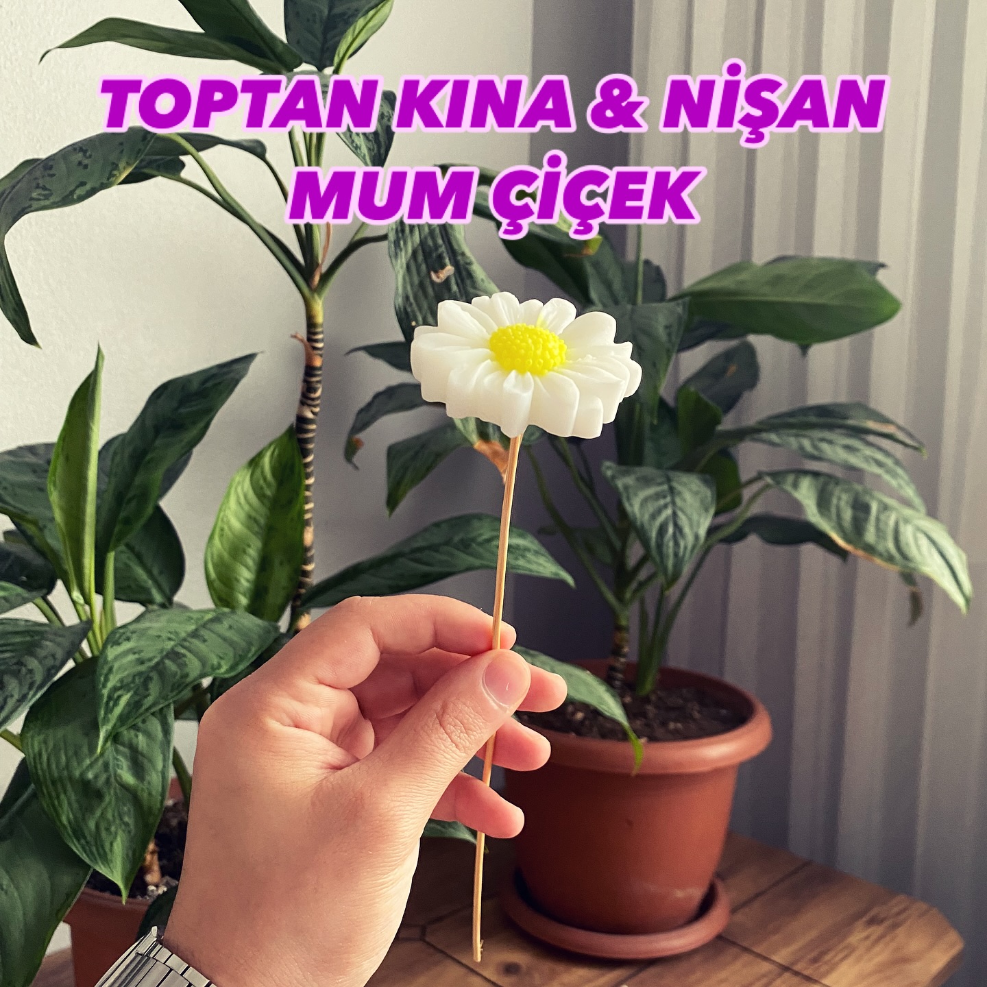 Seviyor, sevmiyor, seviyor… Giz Hanım ailesiyle sevgiler çoğalıyor. Modern ve yenilikçi nişan ve kına hediyeliklerimiz satışta. Özel anlar özel hediyelerle anlam kazanır. Papatya şeklinde el yapımı özel mumlarımız ile en özel anlarınızı ölümsüz kılalım. Mumları yaktıkça hep sizi konuşalım! Daha fazlası için lütfen mesaj atın. Sevgiyle kalın.
#nişan #nişanhediyeliği #kına #kınamalzemeleri #mum #düğün